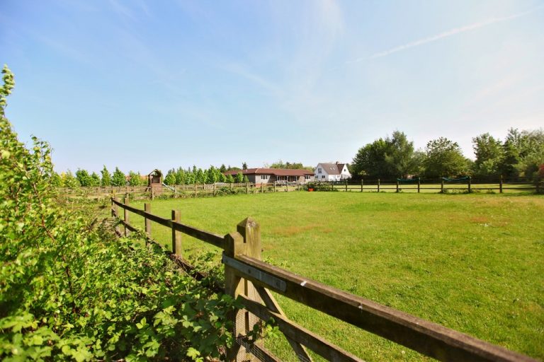 Strong demand from equestrian first time buyers