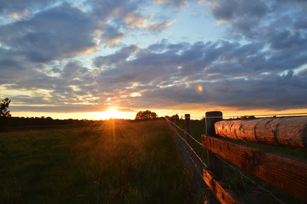 Find out about the services on offer from our Farms & Estates department