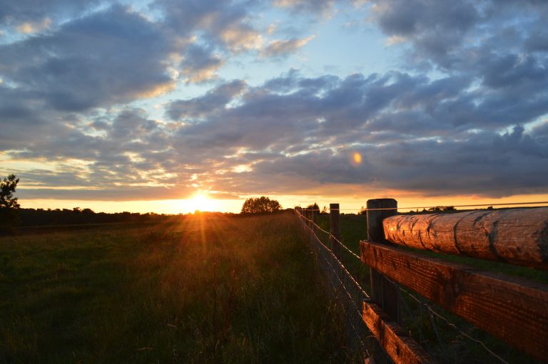 Find out about the services on offer from our Farms & Estates department