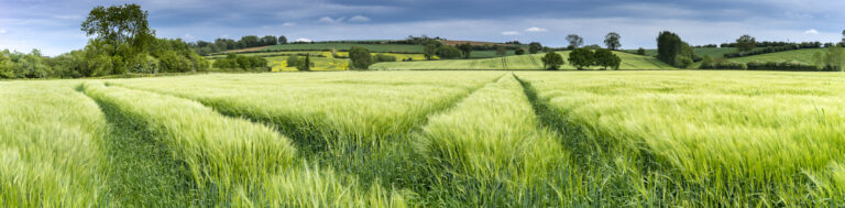 Key factors shaping the Farms and Estates sector