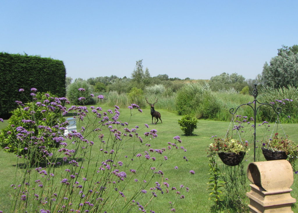 Highly regarded commercial fishery for sale in Cambridgeshire