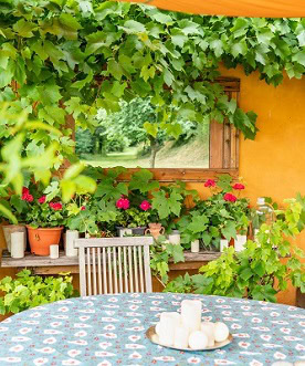 Six of the best… gardens for entertaining
