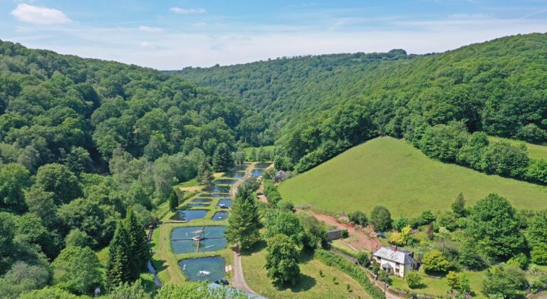 Water and Leisure Market Update