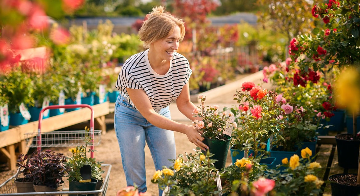A real growth industry: a guide to the region’s best garden centres