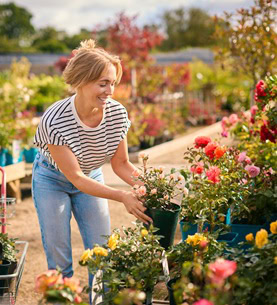 A real growth industry: a guide to the region’s best garden centres