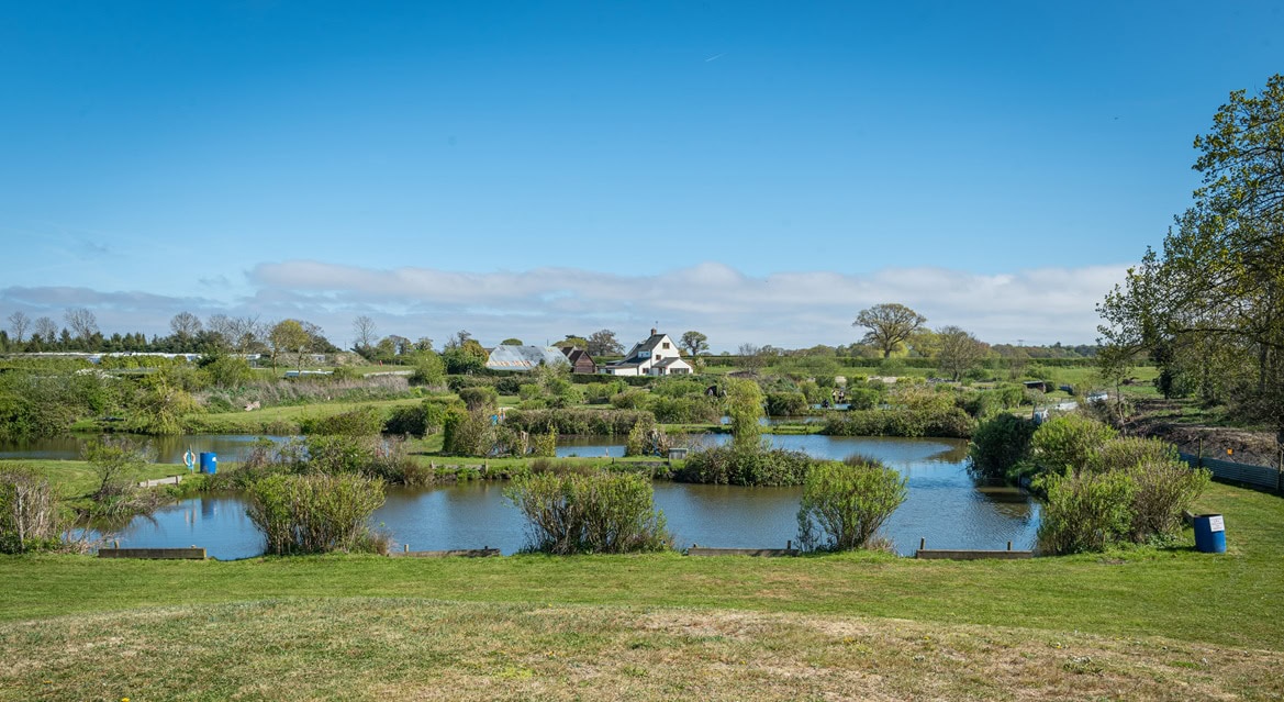 Profitable mixed-use leisure complex for sale on the Suffolk Coast